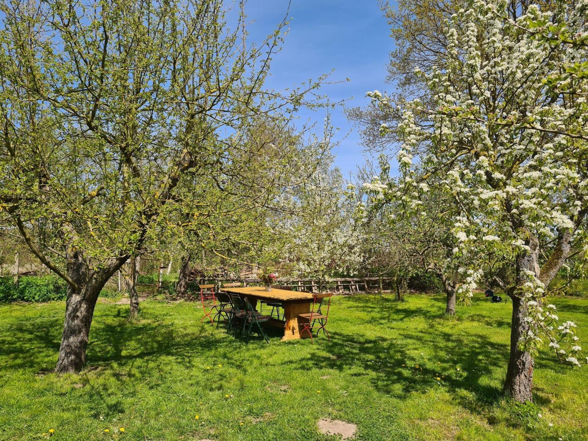 Renovated Apartment In The Old Farmhouse Krusenhagen Eksteriør billede