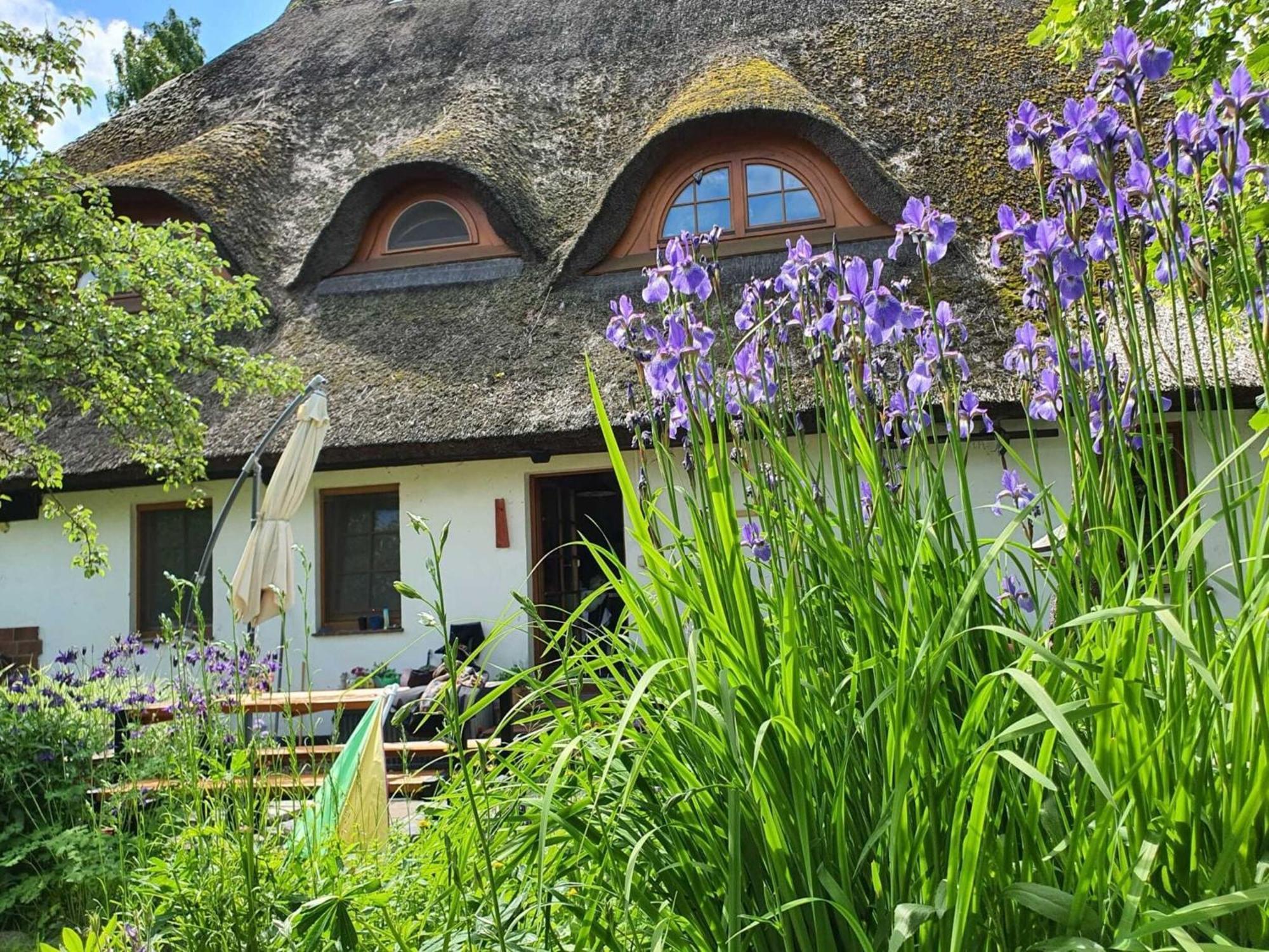 Renovated Apartment In The Old Farmhouse Krusenhagen Eksteriør billede