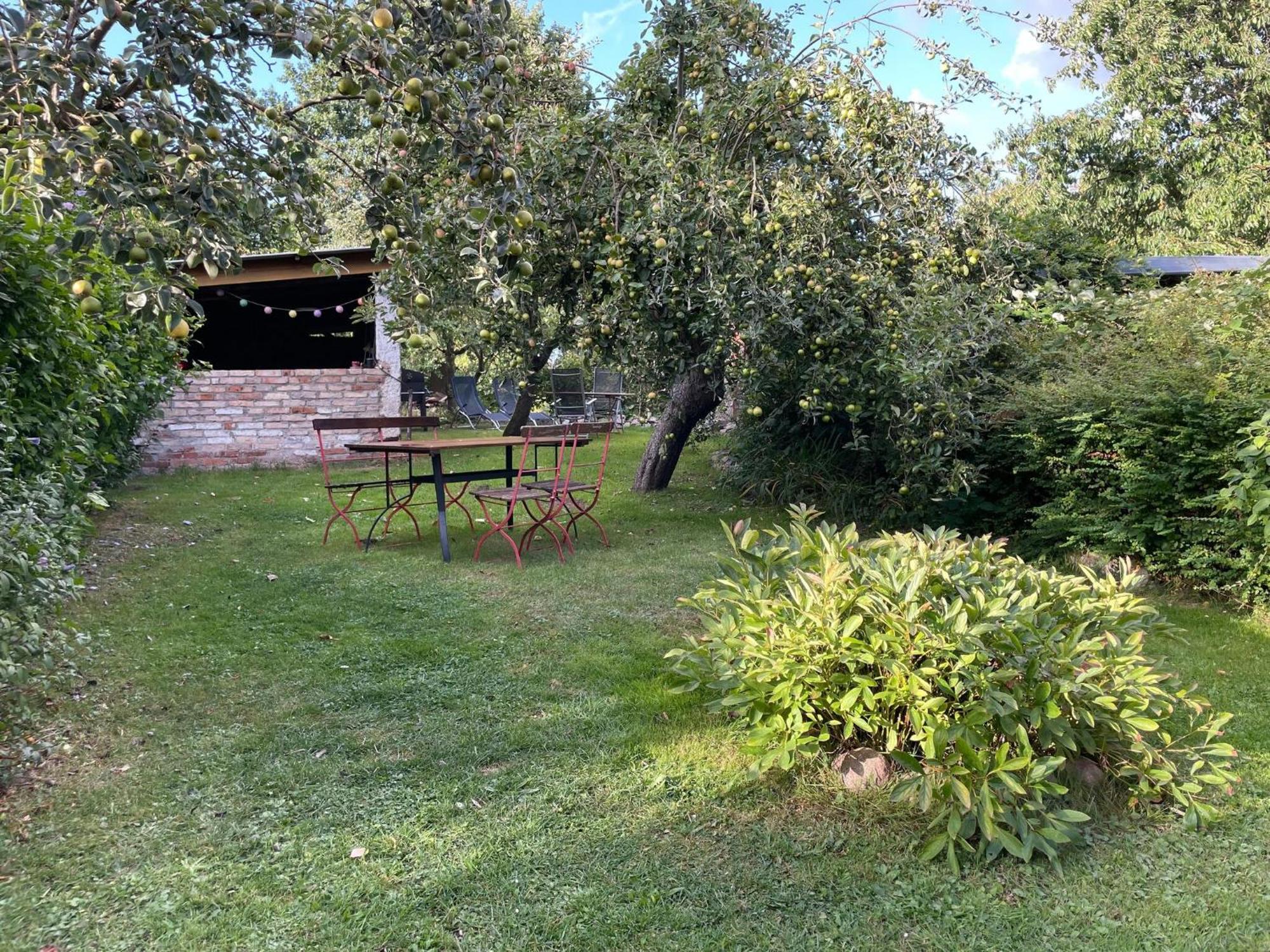 Renovated Apartment In The Old Farmhouse Krusenhagen Eksteriør billede